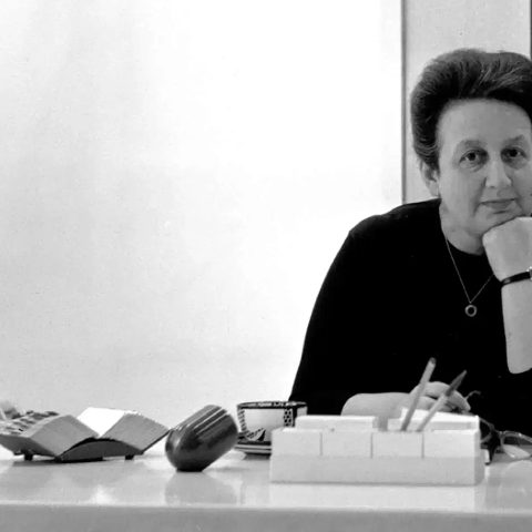 Ileana Sonnabend, Fireworks: la collezione e le avanguardie