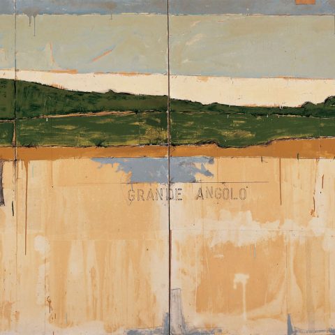 Mario Schifano. Pittura, immagine e modernità mediatica