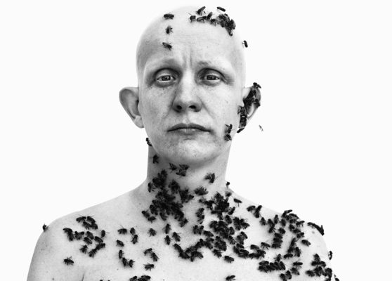 Richard Avedon. Ronald Fischer, apicoltore, Davis (dettaglio)